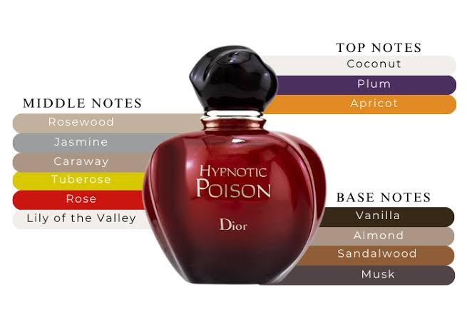 Dior Hypnotic Poison EDT For Women 100ml